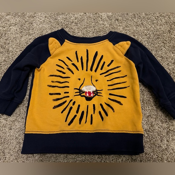 Hanna Andersson Lion sweatshirt - Picture 1 of 4
